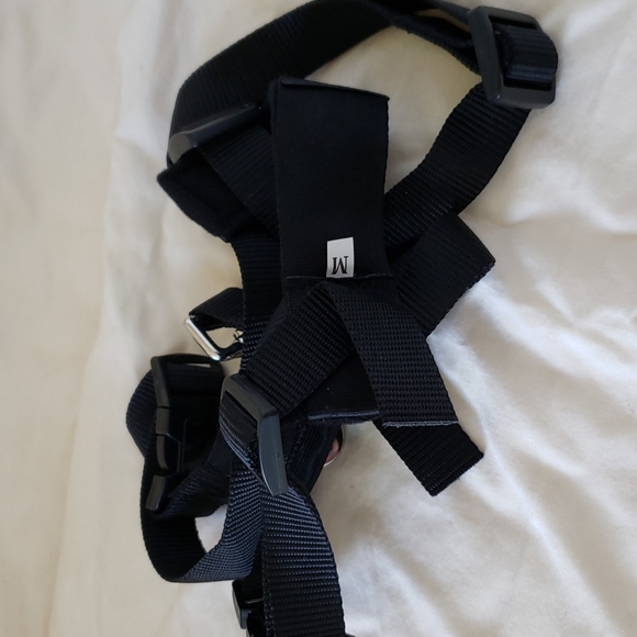 Car Harness Guardian Gear for Dog - Picture 7 of 8